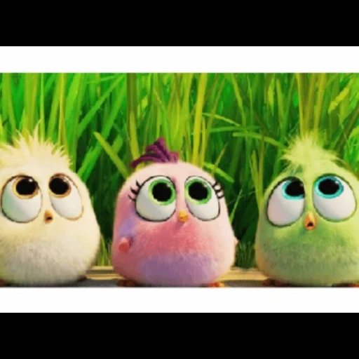 angry birds, film angry birds, l'uccello di engri, engri bird 2 polli, cartoon di engry birds chicken