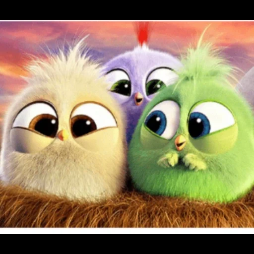 angry birds, film angry birds, angry bird chicken, cartoon di engry birds chicken