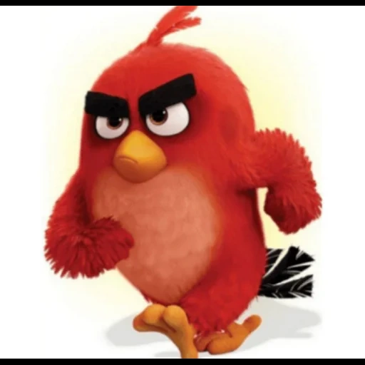 angry birds, angry bird rouge, angry birds rouge, angry birds blast, carton d'oiseau engri rouge
