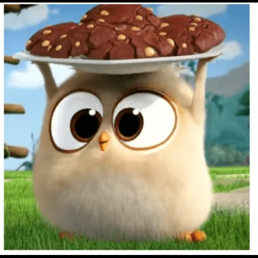 emoticônes, angry birds, les animaux sont mignons, angry birds poilu mignon yeux