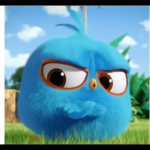 angry birds, engri bird ciano, cartoon angry birds blues, angry birds blue mobilitation painting series, angry birds fluffy stagione 1 episodio 12