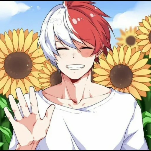 anime guys, todoroki morning, shoto todoroki, anime characters, anime guys anime