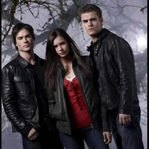 stefan elena, elena gilbert, i diari del vampiro, the vampire diaries, elena damon stefan