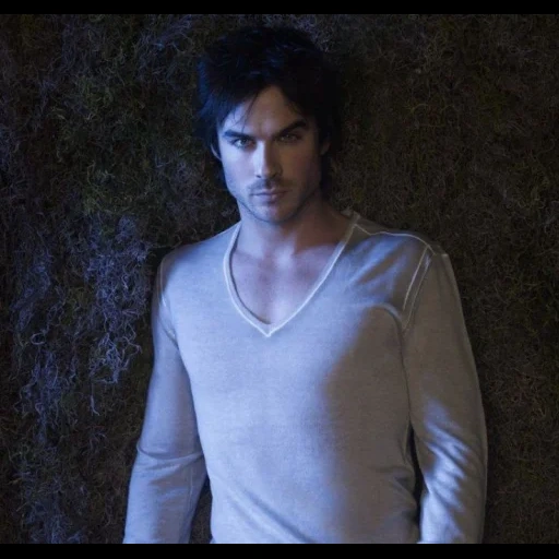 damon salvatore, ian somerhold, diário de vampiros, damon el salvador, ian somerhold damon