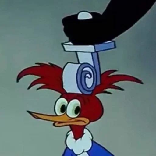 picchiarello, picchiarello, animazione woodwood woody, personaggi woodwood woody, woody woodpecker dyatel woody