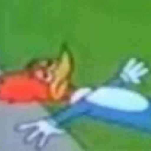 boy, woody woodpecker, the walt disney company, tom jerry tennis chumps, tom jerry 77 episode about one duckling
