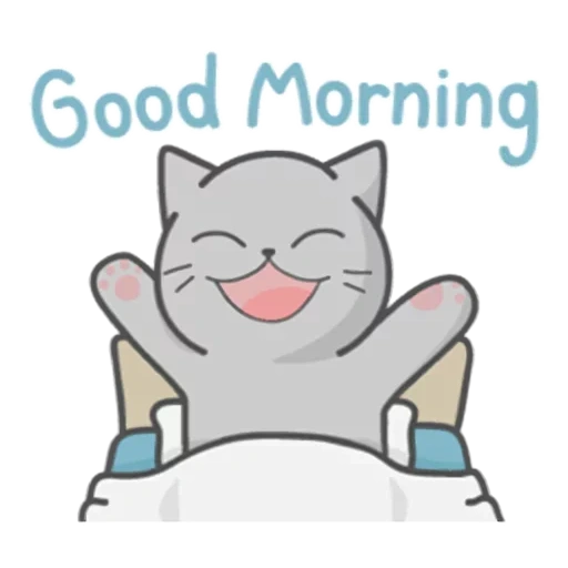 кот, фулмун кот, доброе утро, good morning, good morning кот