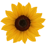 @stickersworld-flower