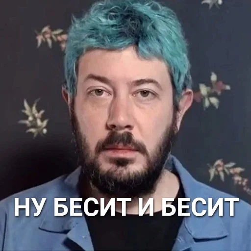immagine dello schermo, artemy lebedev bene, artemy lebedev mem, lebedev artemy andreevich, artemy lebedev blue hair