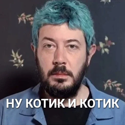 ilya varlamov, artemi lebedev, artemi lebedev meme, andrejevic lebedev artemi, artemi lebedev blue hair