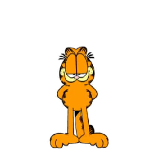 garfield, garfield, garfield, garfield von, cartone animato di garfield