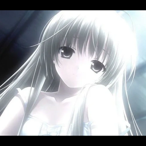 animación, animación de kavai, yosuga no sora, fotografía de animación, animación sora kasugano