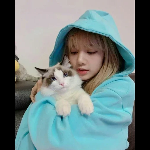 cats lisa, gatti carini, lalaalisa m, blackpink lisa cats, lalisa manoban cats