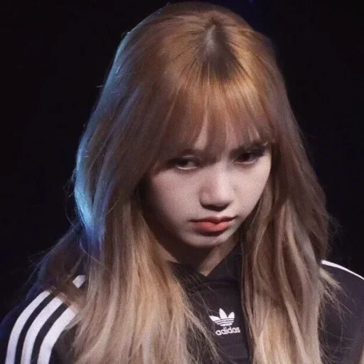 chica, polvo negro, polvo negro zorro, lisa blackpink, polvo negro lisa