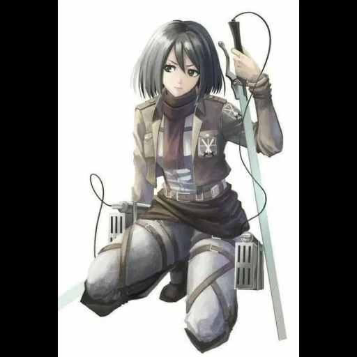 mikasa, ataque titã, mikasa ackerman, três deuses atacam titã, sankang ackerman ataca o titã