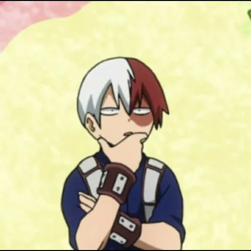 todoroki, todoroki, vite dell'albero ospitante, foto todoroki, la mia accademia di eroi