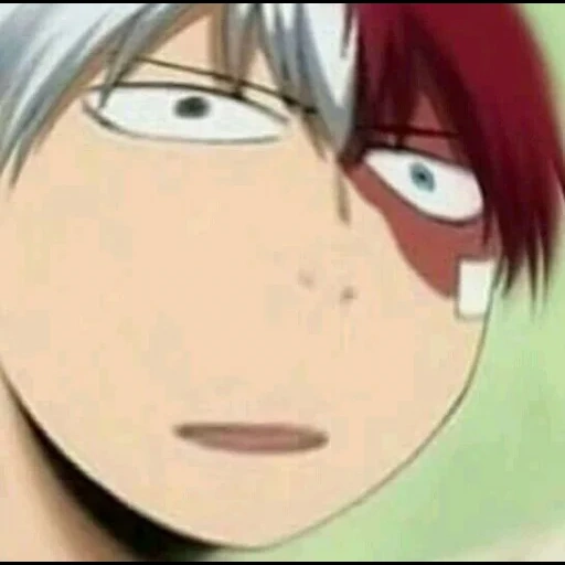 todoroki, todoroki shoto, mga torodoroki shots, todoroki shoto anime, torodoroki robo de torodoro