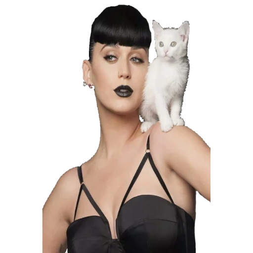 cat, cat, katy perry, katy perry, katie perry covergirl