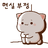 kawai cat, kawai seal, cute cat animation, lovely kavai paintings, cute cat pattern