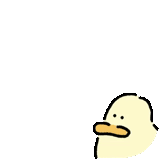 duck, duck, duck, duck meme, duck meme