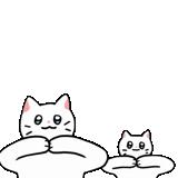 gatto, gatto bianco, gatto dipinto, illustrazione del gatto, gatto cane dipinto
