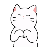 gato, um gato, gato branco, kawaii cats, gatos de anime