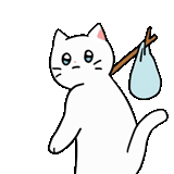 gato, ripndip, fakom de gato, gato branco, rippyp de gato