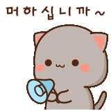 kawaii, kawaii cats, kawaii cats, desenhos kawaii fofos, adoráveis gatos kawaii