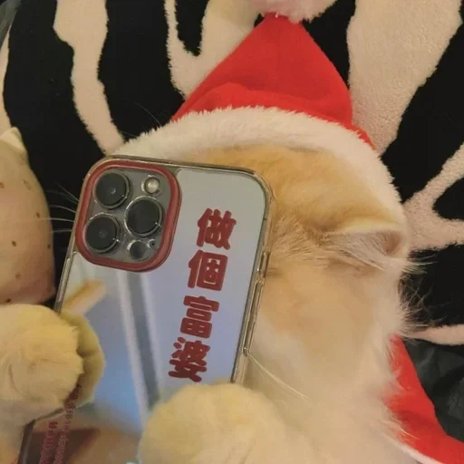 hewan lucu, cat iphone 13, kasing telepon seluler