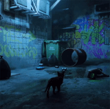 cat, stray, in the game, stray game, gif game