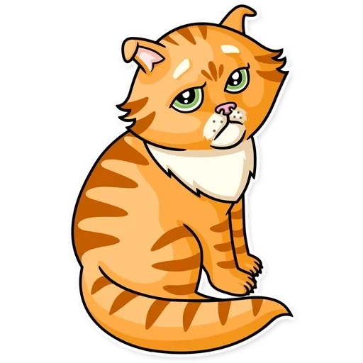 кот, striped cat, grumpy tiger, кошка закидонами