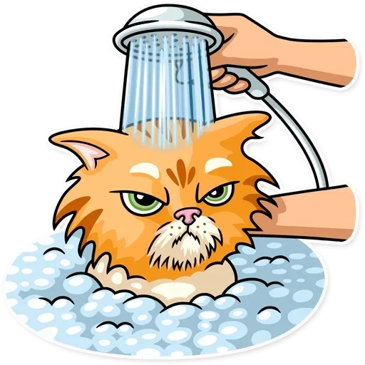 kotyars, um gato lavado, o gato lava arte, animais engraçados