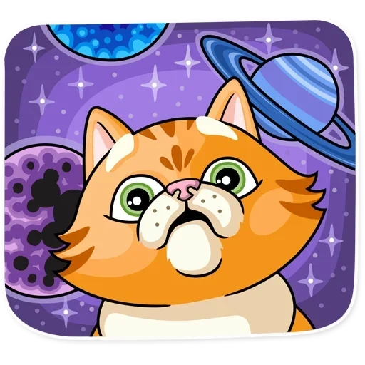 cat, watsap, striped cat, cats watsap, catwang application