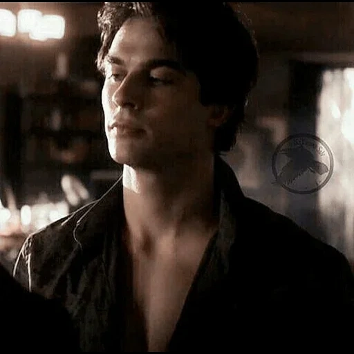 damon salvatore, damon salvador, stefan salvatore, salvador damon, damon salvatore die vampire diaries