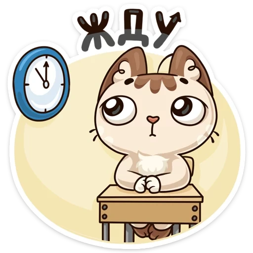 waiting, cute, cats, waiting at home, weekdays