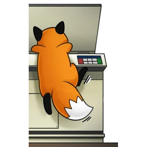 cat, fox, fox cartoon, stupid fox comics