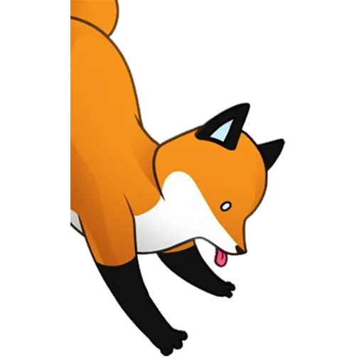 volpe, fox fox, fox stupida