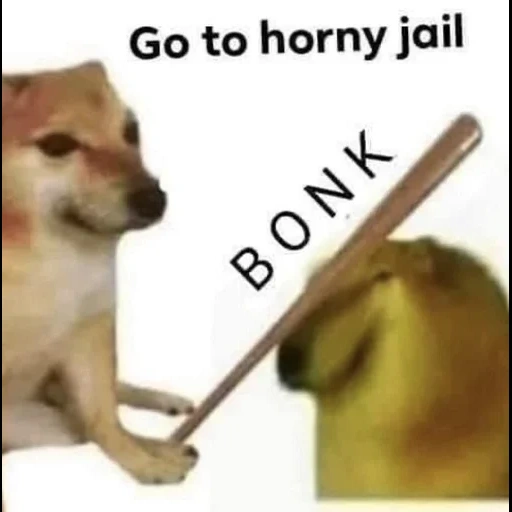 doge meme, bonk meme, a meme with a dog, a meme with a dog, the dog is bat mem