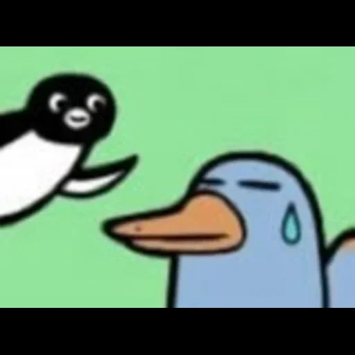 canard, pigeon, comics de pingouins, cartoon de pigeon, caricature de crewe pigeon