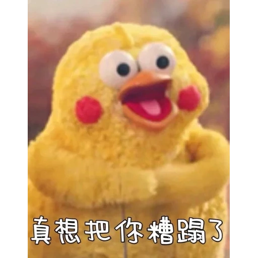 meme, chicken, utia lolo fangfang, poulet à mèmes japonais, lunettes de soleil chicken 2d