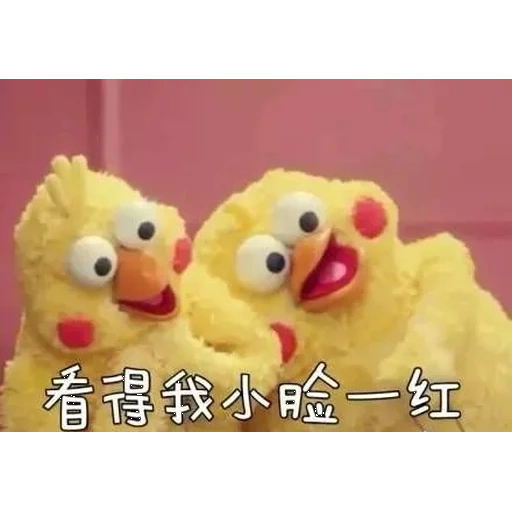kang, poulets, jouets, drôle de poulet, poulet à mèmes japonais