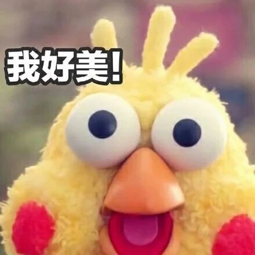 твиттер, смешная курица, утья лолофанфан, японский мем цыпленок, цыпленок прической мем