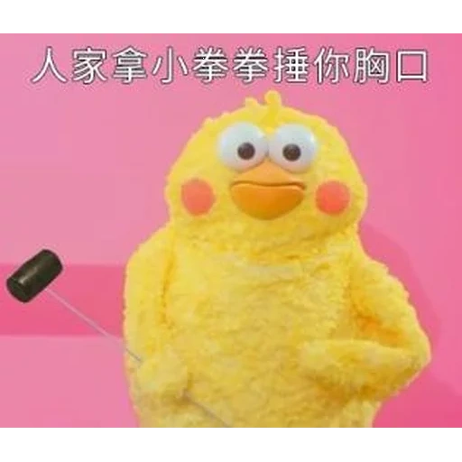 toys, toys, where is chicky, rubber weft yarn, lala fanfan's duck picture