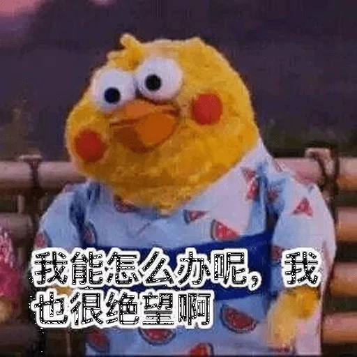 niha, china, harbin city, toys, chicken toy memes