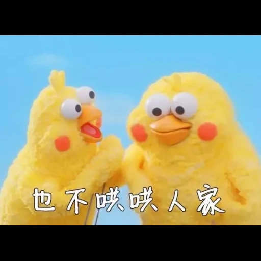 sebuah mainan, apa itu cewek, hewan lucu, ayam meme jepang, kacamata sunny 2d chicken