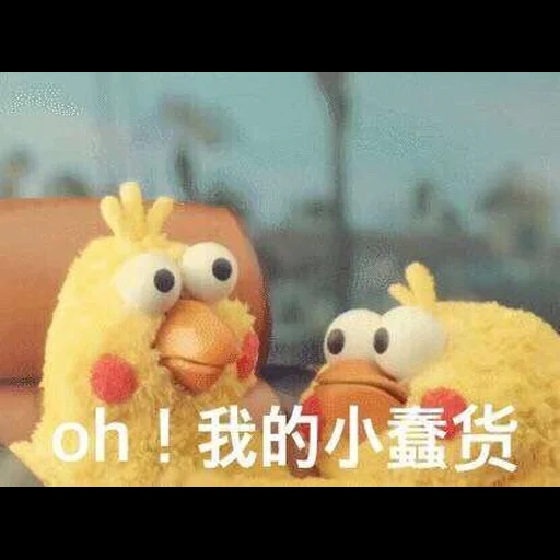 fieno, idiota, un giocattolo, cucciolo di pollo meme, pollo meme giapponese