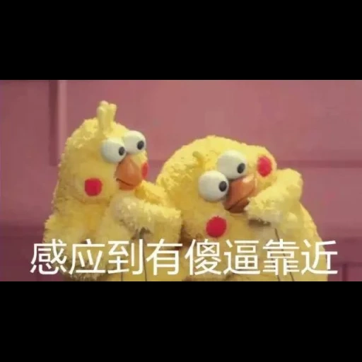 poulets, jouets, funny chicken, drôle de poulet, poulet à mèmes japonais