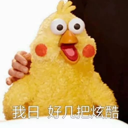poulets, chicken, drôle de poulet, poulet à mèmes japonais, photos de canards de lara fanfan
