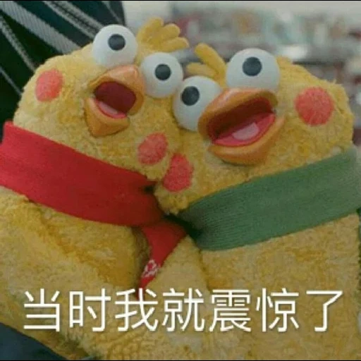 jouets, taiwan, charmant animal, chicken toy memes, poulet à mèmes japonais