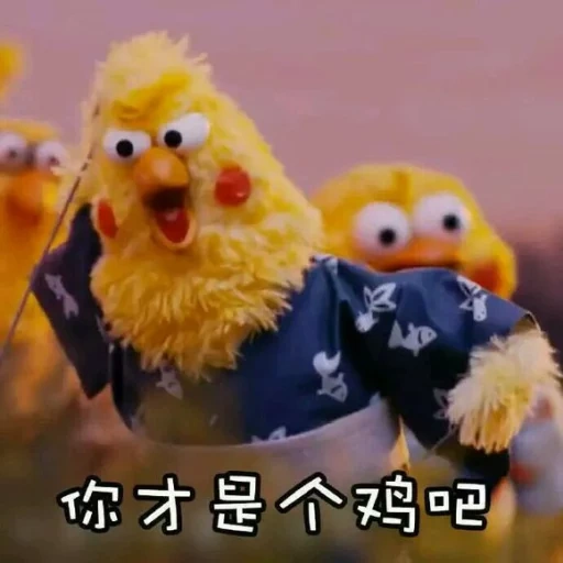 表 情 包, pollo, l'uccello è pollo, memi giocattolo di pollo, pollo meme giapponese